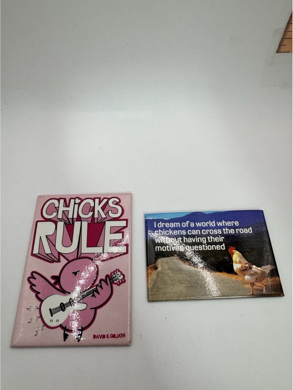 2 Novelty “chicken” Magnets - Chicks Rule